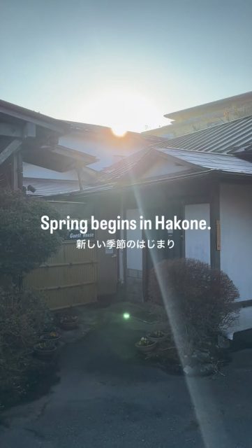 Spring is steadily arriving in Hakone.
A welcome rain, onsen steam at night,
and the first signs of blossoms.

Cherry blossoms are expected to bloom earlier this year.
Save this for your Japan trip😊👍

箱根に、春が着実に近づいています。
恵みの雨、夜の湯けむり、
そして咲きはじめの花たち。

今年の桜は例年より少し早い予想です。
春の旅の参考に、ぜひ保存してください😊👍

#hakone 
#japantravel 
#onsen 
#cherryblossomseason 
#hiddenjapan